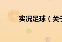 實況足球（關(guān)于實況足球的介紹）