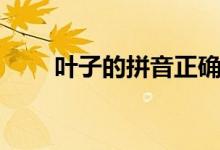 葉子的拼音正確寫法（葉子的拼音）