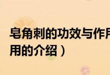 皂角刺的功效與作用(關于皂角刺的功效與作用的介紹)