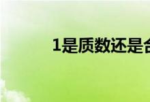 1是質數(shù)還是合數(shù)（1是質數(shù)嗎）
