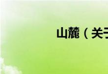 山麓（關于山麓的介紹）