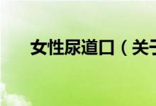 女性尿道口（關于女性尿道口的介紹）