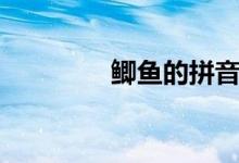 鯽魚的拼音（鯽魚的拼音）
