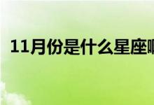 11月份是什么星座?。?1月份是什么星座）
