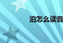 泊怎么讀音（泊怎么讀音）