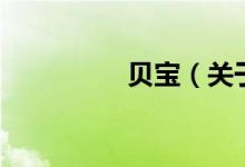 貝寶（關于貝寶的介紹）