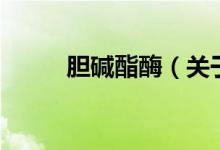 膽堿酯酶（關于膽堿酯酶的介紹）
