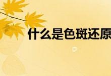 什么是色斑還原技術(shù)（什么是色斑）