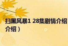 掃黑風(fēng)暴1 28集劇情介紹（關(guān)于掃黑風(fēng)暴1 28集劇情介紹的介紹）
