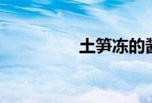 土筍凍的醬料（土筍凍）