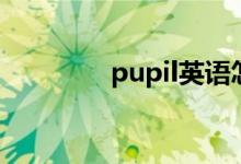 pupil英語(yǔ)怎么讀（pupil）