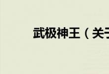 武極神王（關(guān)于武極神王的介紹）
