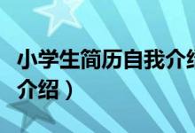 小學(xué)生簡歷自我介紹六年級(jí)（小學(xué)生簡歷自我介紹）