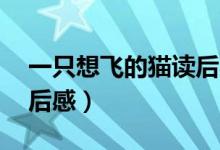 一只想飛的貓讀后感50字（一只想飛的貓讀后感）
