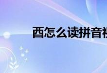 酉怎么讀拼音視頻（酉怎么讀音）
