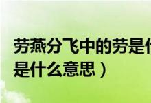 勞燕分飛中的勞是什么意思（勞燕分飛中的勞是什么意思）