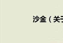 沙金（關(guān)于沙金的介紹）