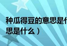 種瓜得豆的意思是什么（種瓜得瓜種豆得豆意思是什么）