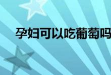 孕婦可以吃葡萄嗎（孕婦可以吃枇杷嗎）