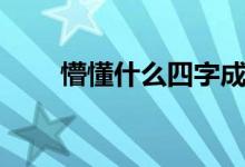 懵懂什么四字成語(yǔ)（懵懂什么意思）