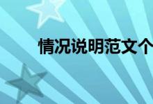 情況說明范文個人（情況說明范文）