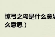驚弓之鳥是什么意思怎么解釋（驚弓之鳥是什么意思）