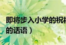 即將步入小學的祝福（寶貝即將步入小學祝福的話語）