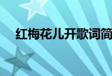紅梅花兒開歌詞簡譜（紅梅花兒開歌詞）