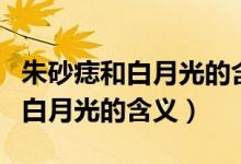 朱砂痣和白月光的含義是什么意思（朱砂痣和白月光的含義）
