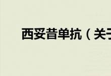 西妥昔單抗（關(guān)于西妥昔單抗的介紹）