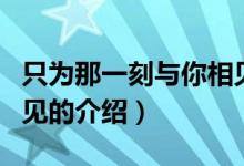 只為那一刻與你相見（關(guān)于只為那一刻與你相見的介紹）