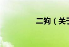 二狗（關于二狗的介紹）