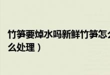 竹筍要焯水嗎新鮮竹筍怎么保存（竹筍要焯水嗎 新鮮竹筍怎么處理）