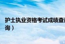 護(hù)士執(zhí)業(yè)資格考試成績查詢19年（護(hù)士執(zhí)業(yè)資格考試成績查詢）