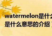 watermelon是什么意思（關(guān)于watermelon是什么意思的介紹）