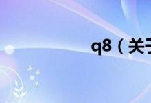 q8（關(guān)于q8的介紹）