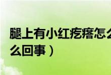 腿上有小紅疙瘩怎么辦呢（腿上有小紅疙瘩怎么回事）