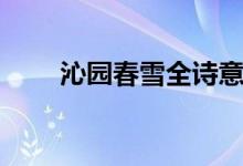 沁園春雪全詩(shī)意思（沁園春雪全詩(shī)）