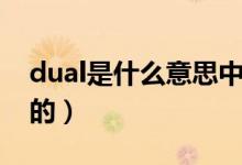 dual是什么意思中文（dual是什么意思車上的）