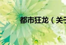 都市狂龍（關(guān)于都市狂龍的介紹）