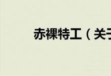 赤裸特工（關(guān)于赤裸特工的介紹）