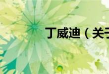 丁威迪（關(guān)于丁威迪的介紹）