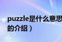 puzzle是什么意思（關于puzzle是什么意思的介紹）