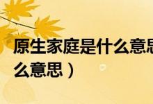 原生家庭是什么意思通俗一點（原生家庭是什么意思）