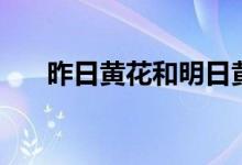 昨日黃花和明日黃花區(qū)別（昨日黃花）