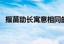 揠苗助長寓意相同的成語（揠苗助長寓意）