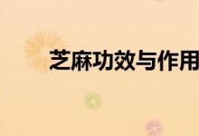 芝麻功效與作用（芝麻功效與作用）