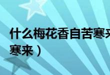 什么梅花香自苦寒來下一句（什么梅花香自苦寒來）