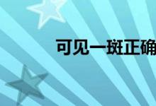 可見一斑正確意思（可見一斑）