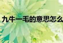 九牛一毛的意思怎么解釋（九牛一毛的意思）